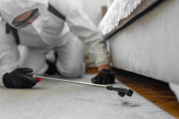 Professional Termite Control technician working in Whiting, WI